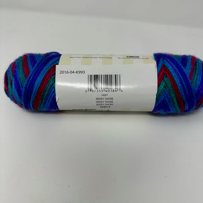 Caron Simply Soft Acrylic Worsted Weight Yarn