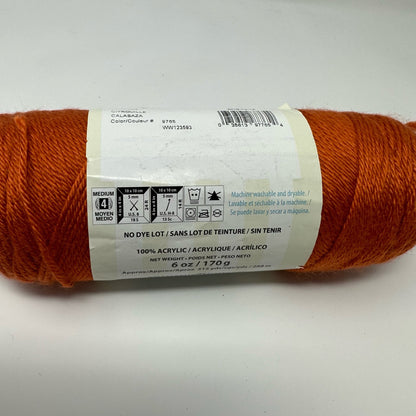 Caron Simply Soft Acrylic Worsted Weight Yarn