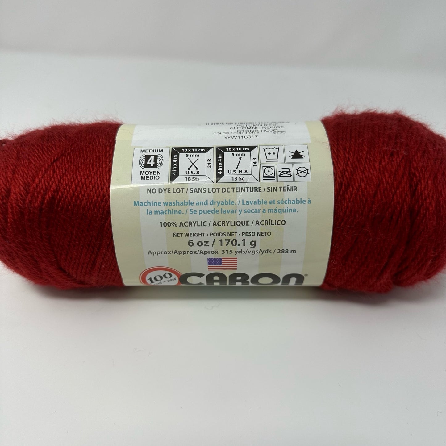 Caron Simply Soft Acrylic Worsted Weight Yarn