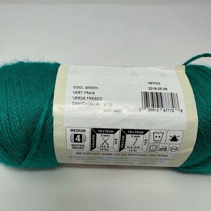 Caron Simply Soft Acrylic Worsted Weight Yarn